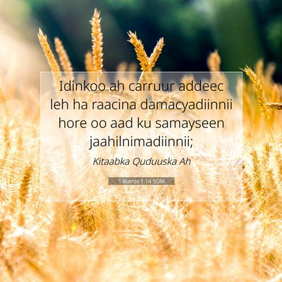 Picture 07 - 1 Butros 1:14 SOM - Idinkoo ah carruur addeec leh ha raacina - Bible Verse Picture
