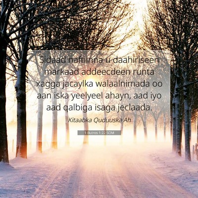 Picture 07 - 1 Butros 1:22 SOM - Sidaad naftiinna u daahiriseen markaad addeecdeen - Bible Verse Picture