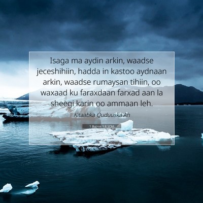 Picture 07 - 1 Butros 1:8 SOM - Isaga ma aydin arkin, waadse jeceshihiin, hadda - Bible Verse Picture