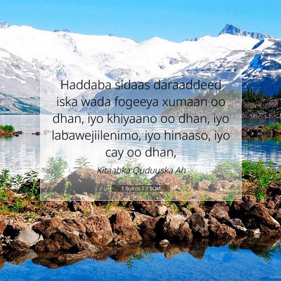 Picture 07 - 1 Butros 2:1 SOM - Haddaba sidaas daraaddeed iska wada fogeeya - Bible Verse Picture