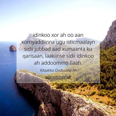 Picture 07 - 1 Butros 2:16 SOM - idinkoo xor ah oo aan xorriyaddiinna ugu - Bible Verse Picture