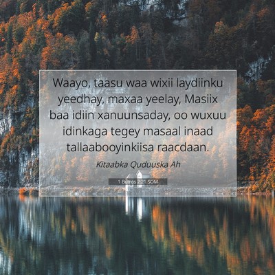 Picture 07 - 1 Butros 2:21 SOM - Waayo, taasu waa wixii laydiinku yeedhay, maxaa - Bible Verse Picture