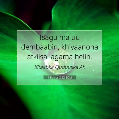 Picture 07 - 1 Butros 2:22 SOM - Isagu ma uu dembaabin, khiyaanona afkiisa lagama - Bible Verse Picture