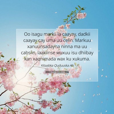 Picture 07 - 1 Butros 2:23 SOM - Oo isagu markii la caayay, dadkii caayay cay uma - Bible Verse Picture