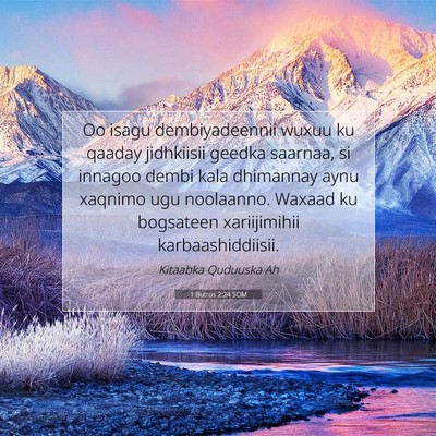 Picture 07 - 1 Butros 2:24 SOM - Oo isagu dembiyadeennii wuxuu ku qaaday - Bible Verse Picture