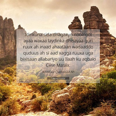 Picture 07 - 1 Butros 2:5 SOM - Idinkuna sida dhagaxyo noolnool ayaa waxaa - Bible Verse Picture