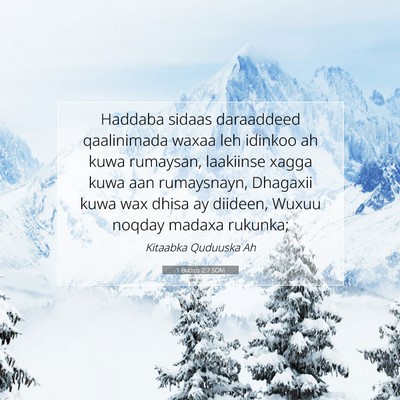 Picture 07 - 1 Butros 2:7 SOM - Haddaba sidaas daraaddeed qaalinimada waxaa leh - Bible Verse Picture