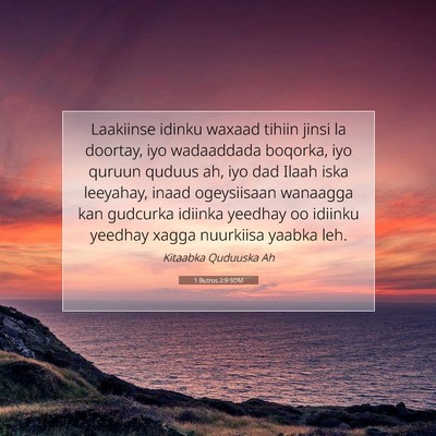 Picture 07 - 1 Butros 2:9 SOM - Laakiinse idinku waxaad tihiin jinsi la doortay, - Bible Verse Picture