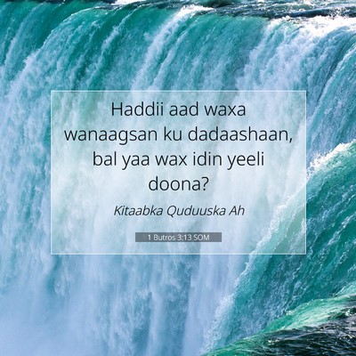 Picture 07 - 1 Butros 3:13 SOM - Haddii aad waxa wanaagsan ku dadaashaan, bal yaa - Bible Verse Picture