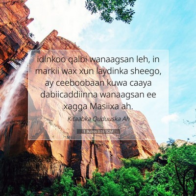 Picture 07 - 1 Butros 3:16 SOM - idinkoo qalbi wanaagsan leh, in markii wax xun - Bible Verse Picture
