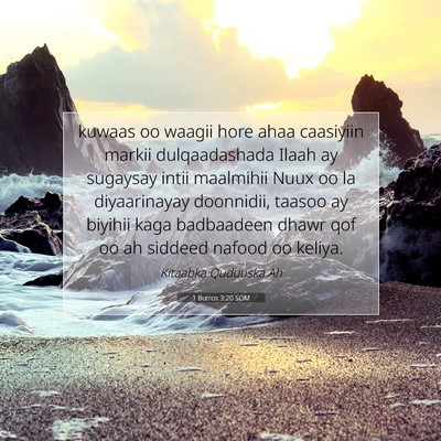Picture 07 - 1 Butros 3:20 SOM - kuwaas oo waagii hore ahaa caasiyiin markii - Bible Verse Picture