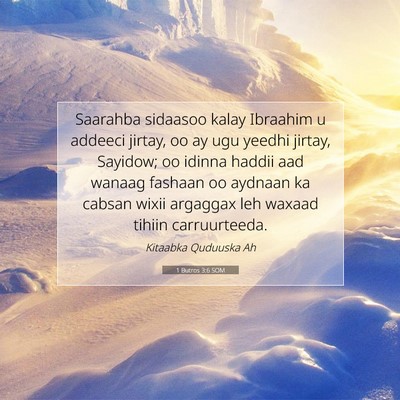 Picture 07 - 1 Butros 3:6 SOM - Saarahba sidaasoo kalay Ibraahim u addeeci - Bible Verse Picture