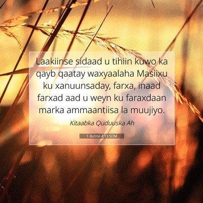 Picture 07 - 1 Butros 4:13 SOM - Laakiinse sidaad u tihiin kuwo ka qayb qaatay - Bible Verse Picture