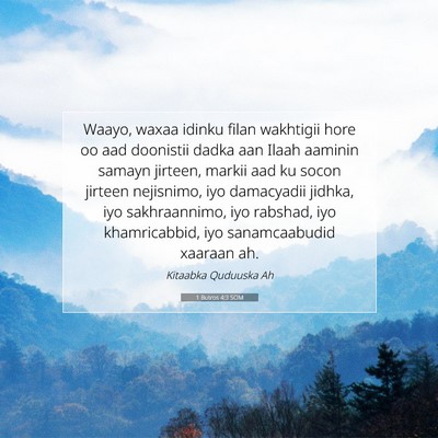 Picture 07 - 1 Butros 4:3 SOM - Waayo, waxaa idinku filan wakhtigii hore oo aad - Bible Verse Picture