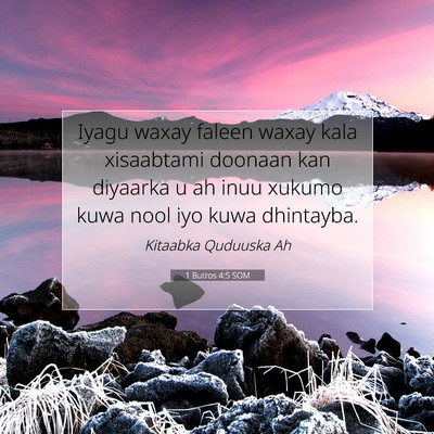 Picture 07 - 1 Butros 4:5 SOM - Iyagu waxay faleen waxay kala xisaabtami doonaan - Bible Verse Picture
