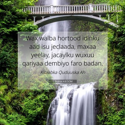 Picture 07 - 1 Butros 4:8 SOM - Wax walba hortood idinku aad isu jeclaada, maxaa - Bible Verse Picture