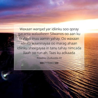 Picture 07 - 1 Butros 5:12 SOM - Waxaan warqad yar idiinku soo qoray gacanta - Bible Verse Picture
