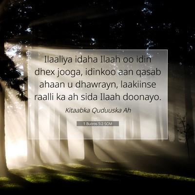 Picture 07 - 1 Butros 5:2 SOM - Ilaaliya idaha Ilaah oo idin dhex jooga, idinkoo - Bible Verse Picture