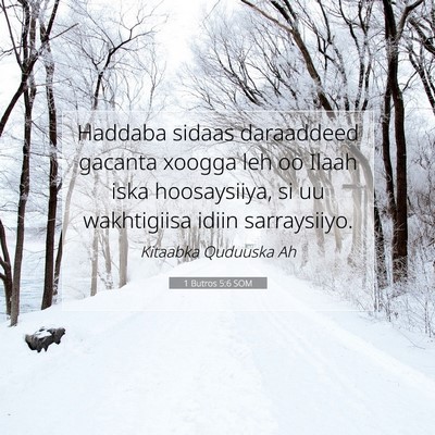 Picture 07 - 1 Butros 5:6 SOM - Haddaba sidaas daraaddeed gacanta xoogga leh oo - Bible Verse Picture