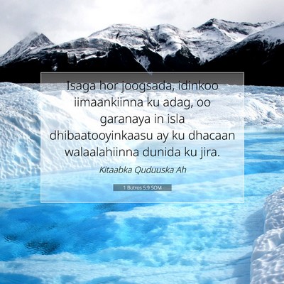 Picture 07 - 1 Butros 5:9 SOM - Isaga hor joogsada, idinkoo iimaankiinna ku adag, - Bible Verse Picture