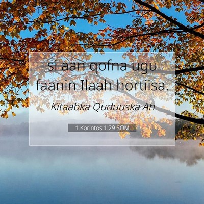 Picture 07 - 1 Korintos 1:29 SOM - si aan qofna ugu faanin Ilaah - Bible Verse Picture