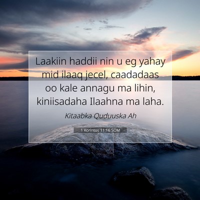 Picture 07 - 1 Korintos 11:16 SOM - Laakiin haddii nin u eg yahay mid ilaaq jecel, - Bible Verse Picture
