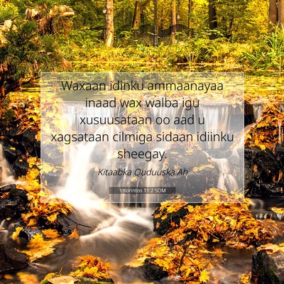 Picture 07 - 1 Korintos 11:2 SOM - Waxaan idinku ammaanayaa inaad wax walba igu - Bible Verse Picture