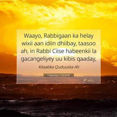 Picture 07 - 1 Korintos 11:23 SOM - Waayo, Rabbigaan ka helay wixii aan idiin - Bible Verse Picture