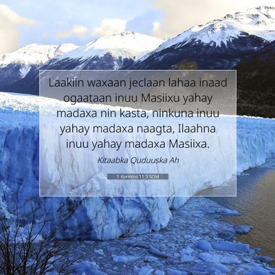 Picture 07 - 1 Korintos 11:3 SOM - Laakiin waxaan jeclaan lahaa inaad ogaataan inuu - Bible Verse Picture