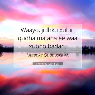 Picture 07 - 1 Korintos 12:14 SOM - Waayo, jidhku xubin qudha ma aha ee waa xubno - Bible Verse Picture