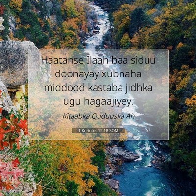 Picture 07 - 1 Korintos 12:18 SOM - Haatanse Ilaah baa siduu doonayay xubnaha middood - Bible Verse Picture