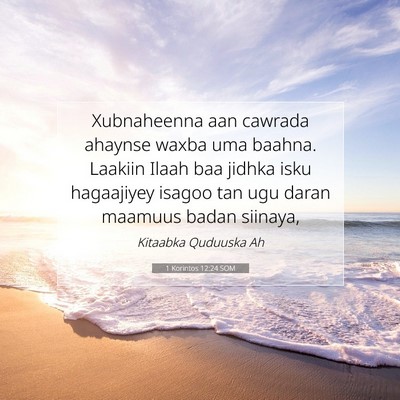 Picture 07 - 1 Korintos 12:24 SOM - Xubnaheenna aan cawrada ahaynse waxba uma baahna. - Bible Verse Picture