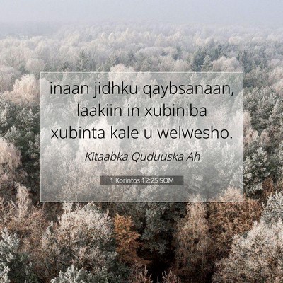 Picture 07 - 1 Korintos 12:25 SOM - inaan jidhku qaybsanaan, laakiin in xubiniba - Bible Verse Picture