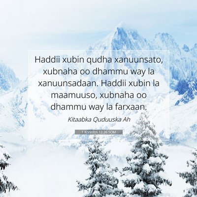 Picture 07 - 1 Korintos 12:26 SOM - Haddii xubin qudha xanuunsato, xubnaha oo dhammu - Bible Verse Picture