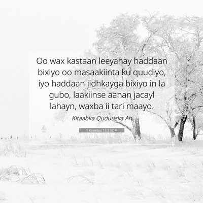 Picture 07 - 1 Korintos 13:3 SOM - Oo wax kastaan leeyahay haddaan bixiyo oo - Bible Verse Picture