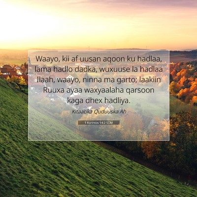 Picture 07 - 1 Korintos 14:2 SOM - Waayo, kii af uusan aqoon ku hadlaa, lama hadlo - Bible Verse Picture