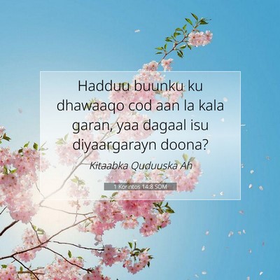 Picture 07 - 1 Korintos 14:8 SOM - Hadduu buunku ku dhawaaqo cod aan la kala garan, - Bible Verse Picture