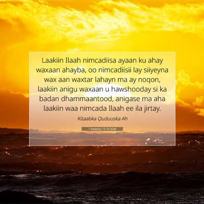 Picture 07 - 1 Korintos 15:10 SOM - Laakiin Ilaah nimcadiisa ayaan ku ahay waxaan - Bible Verse Picture