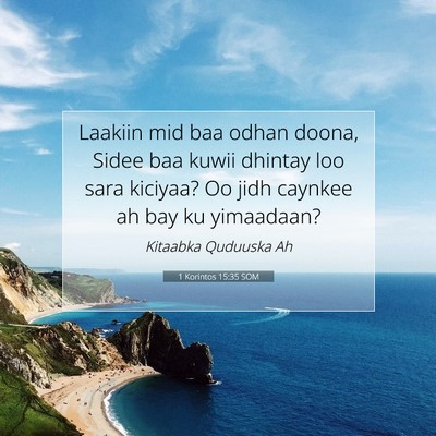 Picture 07 - 1 Korintos 15:35 SOM - Laakiin mid baa odhan doona, Sidee baa kuwii - Bible Verse Picture