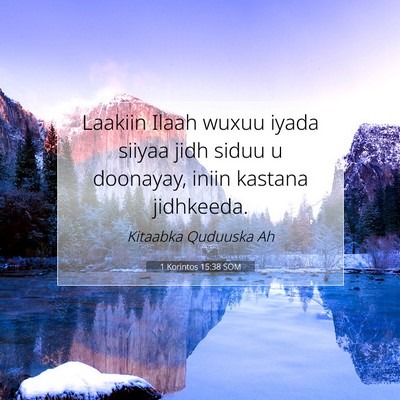 Picture 07 - 1 Korintos 15:38 SOM - Laakiin Ilaah wuxuu iyada siiyaa jidh siduu u - Bible Verse Picture