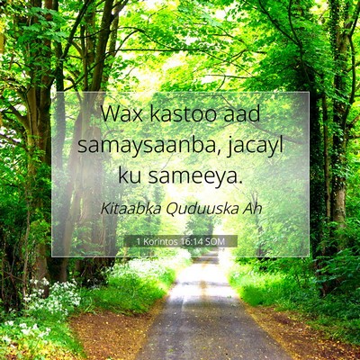 Picture 07 - 1 Korintos 16:14 SOM - Wax kastoo aad samaysaanba, jacayl ku - Bible Verse Picture