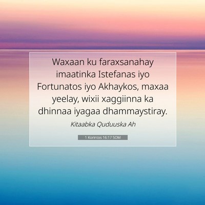 Picture 07 - 1 Korintos 16:17 SOM - Waxaan ku faraxsanahay imaatinka Istefanas iyo - Bible Verse Picture