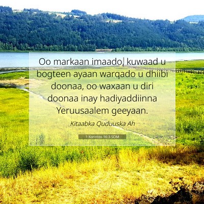 Picture 07 - 1 Korintos 16:3 SOM - Oo markaan imaado, kuwaad u bogteen ayaan warqado - Bible Verse Picture