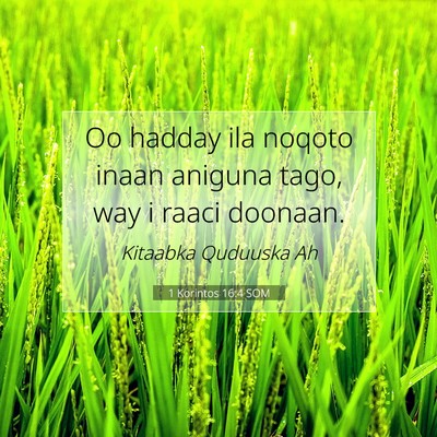 Picture 07 - 1 Korintos 16:4 SOM - Oo hadday ila noqoto inaan aniguna tago, way i - Bible Verse Picture