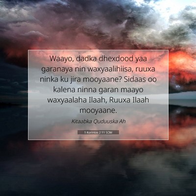 Picture 07 - 1 Korintos 2:11 SOM - Waayo, dadka dhexdood yaa garanaya nin - Bible Verse Picture
