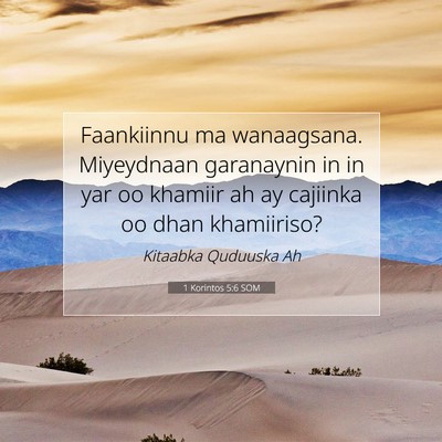 Picture 07 - 1 Korintos 5:6 SOM - Faankiinnu ma wanaagsana. Miyeydnaan garanaynin - Bible Verse Picture