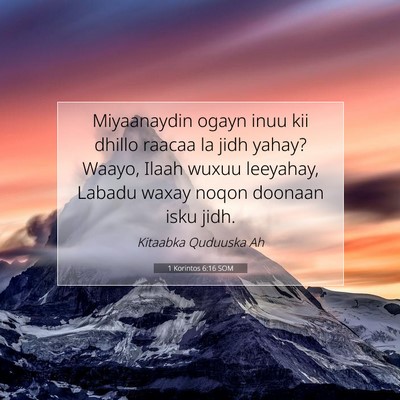 Picture 07 - 1 Korintos 6:16 SOM - Miyaanaydin ogayn inuu kii dhillo raacaa la jidh - Bible Verse Picture