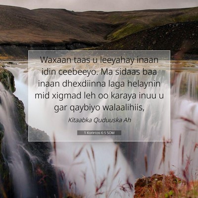 Picture 07 - 1 Korintos 6:5 SOM - Waxaan taas u leeyahay inaan idin ceebeeyo. Ma - Bible Verse Picture