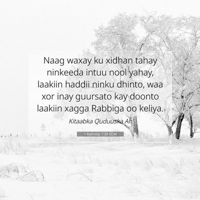 Picture 07 - 1 Korintos 7:39 SOM - Naag waxay ku xidhan tahay ninkeeda intuu nool - Bible Verse Picture