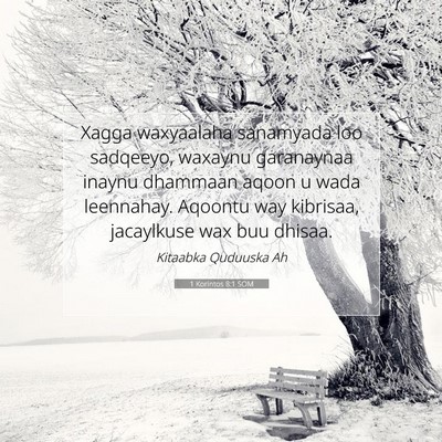 Picture 07 - 1 Korintos 8:1 SOM - Xagga waxyaalaha sanamyada loo sadqeeyo, waxaynu - Bible Verse Picture